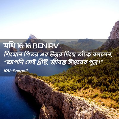 Picture 02 - মথি 16:16 BENIRV - শিমোন পিতর এর - Bible Verse Picture