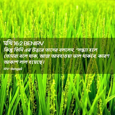 Picture 02 - মথি 16:2 BENIRV - কিন্তু তিনি এর - Bible Verse Picture