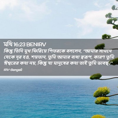 Picture 02 - মথি 16:23 BENIRV - কিন্তু তিনি মুখ - Bible Verse Picture