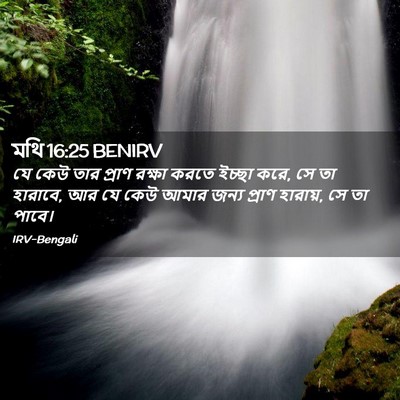 Picture 02 - মথি 16:25 BENIRV - যে কেউ তার প্রাণ - Bible Verse Picture