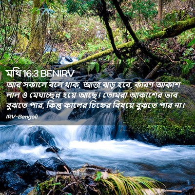 Picture 02 - মথি 16:3 BENIRV - আর সকালে বলে থাক, - Bible Verse Picture