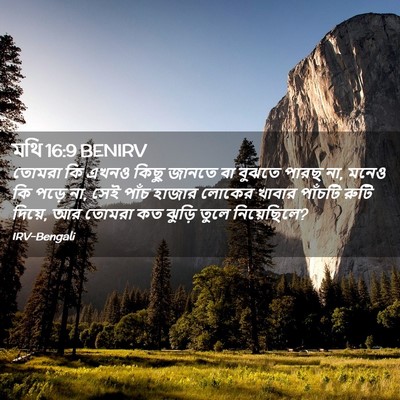 Picture 02 - মথি 16:9 BENIRV - তোমরা কি এখনও কিছু - Bible Verse Picture