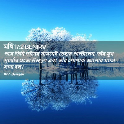 Picture 02 - মথি 17:2 BENIRV - পরে তিনি তাঁদের - Bible Verse Picture
