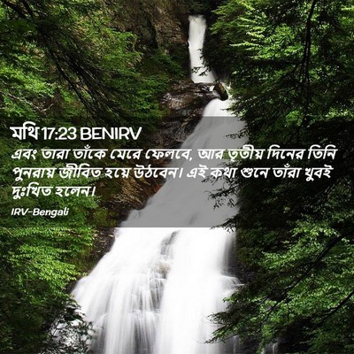 Picture 02 - মথি 17:23 BENIRV - এবং তারা তাঁকে - Bible Verse Picture