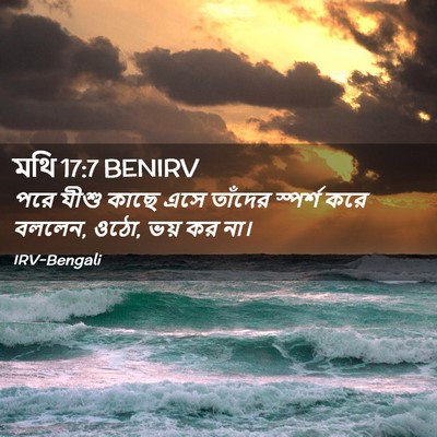 Picture 02 - মথি 17:7 BENIRV - পরে যীশু কাছে এসে - Bible Verse Picture