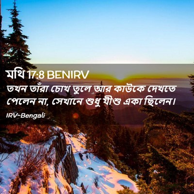 Picture 02 - মথি 17:8 BENIRV - তখন তাঁরা চোখ তুলে - Bible Verse Picture