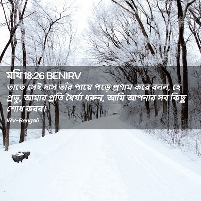 Picture 02 - মথি 18:26 BENIRV - তাতে সেই দাস তাঁর - Bible Verse Picture