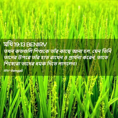Picture 02 - মথি 19:13 BENIRV - তখন কতগুলি শিশুকে - Bible Verse Picture