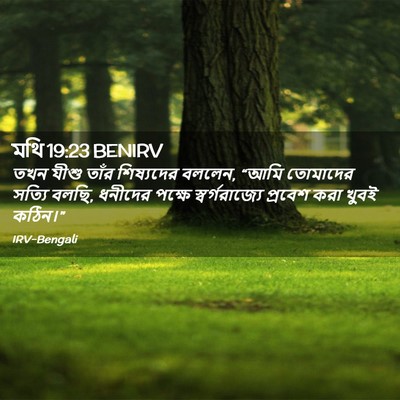 Picture 02 - মথি 19:23 BENIRV - তখন যীশু তাঁর - Bible Verse Picture