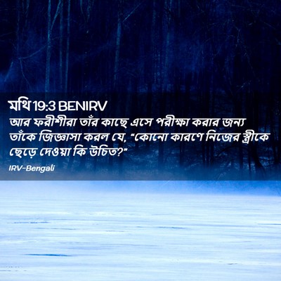 Picture 02 - মথি 19:3 BENIRV - আর ফরীশীরা তাঁর - Bible Verse Picture