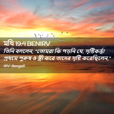 Picture 02 - মথি 19:4 BENIRV - তিনি বললেন, “তোমরা - Bible Verse Picture