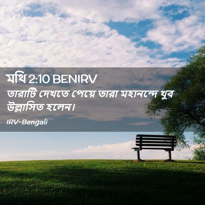 Picture 02 - মথি 2:10 BENIRV - তারাটি দেখতে - Bible Verse Picture