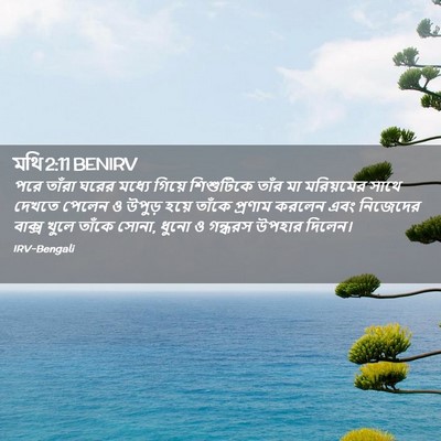 Picture 02 - মথি 2:11 BENIRV - পরে তাঁরা ঘরের - Bible Verse Picture