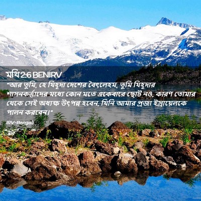 Picture 02 - মথি 2:6 BENIRV - “আর তুমি, হে যিহূদা - Bible Verse Picture