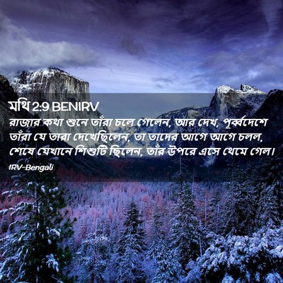 Picture 02 - মথি 2:9 BENIRV - রাজার কথা শুনে - Bible Verse Picture