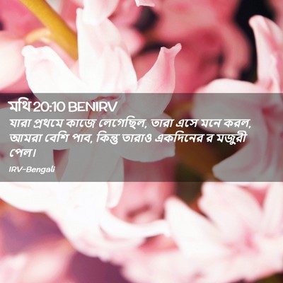 Picture 02 - মথি 20:10 BENIRV - যারা প্রথমে কাজে - Bible Verse Picture