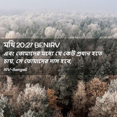 Picture 02 - মথি 20:27 BENIRV - এবং তোমাদের মধ্যে - Bible Verse Picture