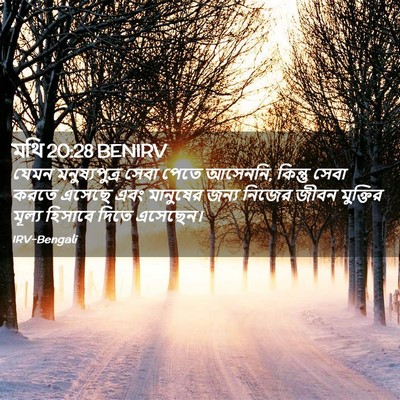 Picture 02 - মথি 20:28 BENIRV - যেমন মনুষ্যপুত্র - Bible Verse Picture