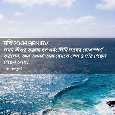 Picture 02 - মথি 20:34 BENIRV - তখন যীশুর করুণা হল - Bible Verse Picture