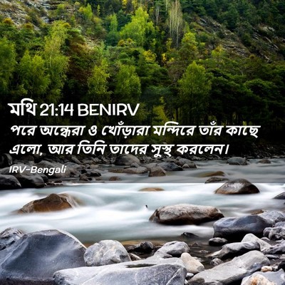 Picture 02 - মথি 21:14 BENIRV - পরে অন্ধেরা ও - Bible Verse Picture