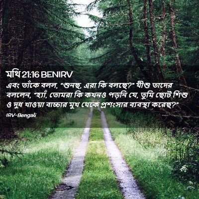 Picture 02 - মথি 21:16 BENIRV - এবং তাঁকে বলল, - Bible Verse Picture
