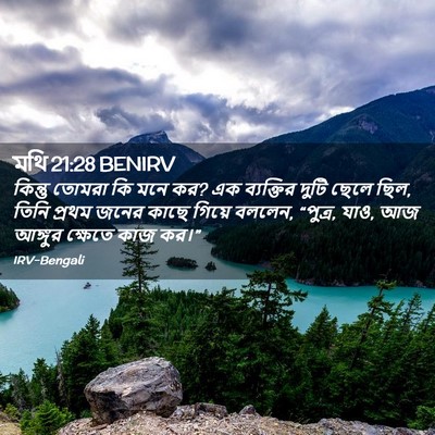 Picture 02 - মথি 21:28 BENIRV - কিন্তু তোমরা কি - Bible Verse Picture