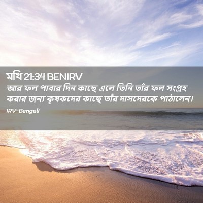 Picture 02 - মথি 21:34 BENIRV - আর ফল পাবার দিন - Bible Verse Picture