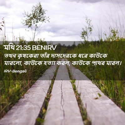 Picture 02 - মথি 21:35 BENIRV - তখন কৃষকেরা তাঁর - Bible Verse Picture
