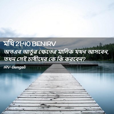 Picture 02 - মথি 21:40 BENIRV - অতএব আঙুর ক্ষেতের - Bible Verse Picture