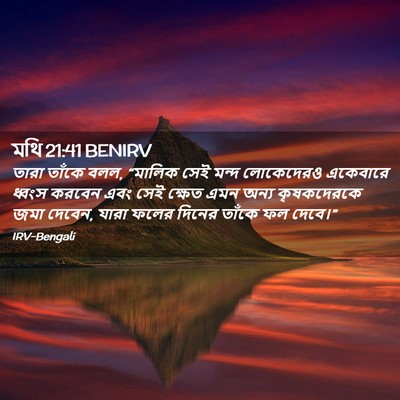 Picture 02 - মথি 21:41 BENIRV - তারা তাঁকে বলল, - Bible Verse Picture