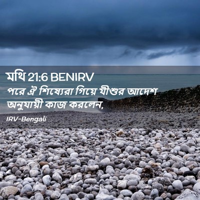Picture 02 - মথি 21:6 BENIRV - পরে ঐ শিষ্যেরা - Bible Verse Picture