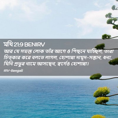 Picture 02 - মথি 21:9 BENIRV - আর যে সমস্ত লোক - Bible Verse Picture