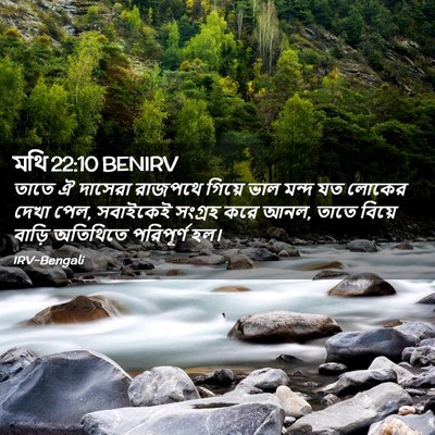 Picture 02 - মথি 22:10 BENIRV - তাতে ঐ দাসেরা - Bible Verse Picture