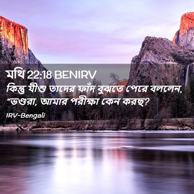 Picture 02 - মথি 22:18 BENIRV - কিন্তু যীশু তাদের - Bible Verse Picture