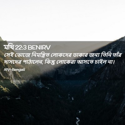 Picture 02 - মথি 22:3 BENIRV - সেই ভোজে - Bible Verse Picture