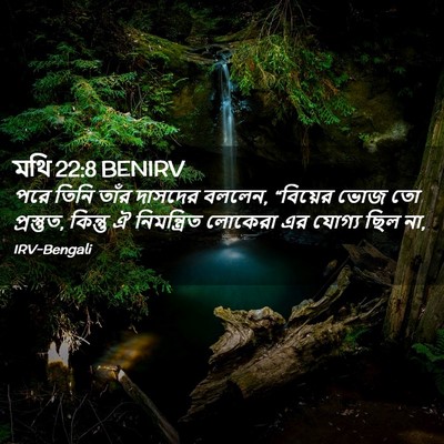 Picture 02 - মথি 22:8 BENIRV - পরে তিনি তাঁর - Bible Verse Picture