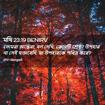 Picture 02 - মথি 23:19 BENIRV - তোমরা অন্ধেরা, বল - Bible Verse Picture