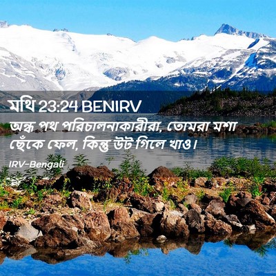 Picture 02 - মথি 23:24 BENIRV - অন্ধ পথ - Bible Verse Picture