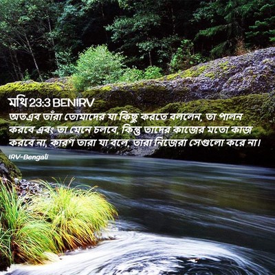 Picture 02 - মথি 23:3 BENIRV - অতএব তাঁরা - Bible Verse Picture