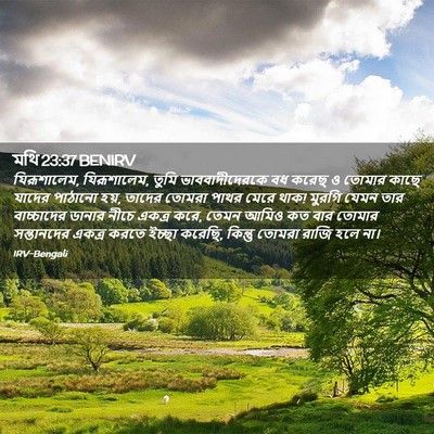 Picture 02 - মথি 23:37 BENIRV - যিরূশালেম, - Bible Verse Picture