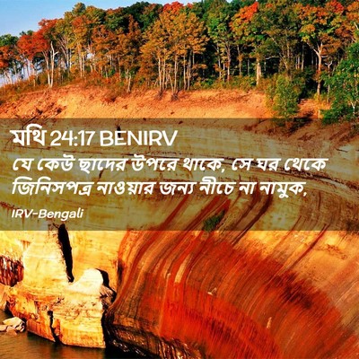 Picture 02 - মথি 24:17 BENIRV - যে কেউ ছাদের উপরে - Bible Verse Picture