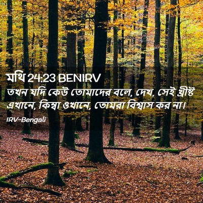 Picture 02 - মথি 24:23 BENIRV - তখন যদি কেউ - Bible Verse Picture