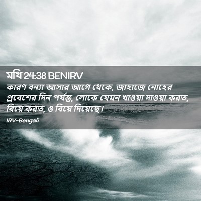 Picture 02 - মথি 24:38 BENIRV - কারণ বন্যা আসার - Bible Verse Picture