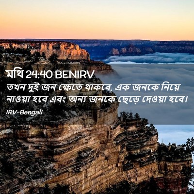 Picture 02 - মথি 24:40 BENIRV - তখন দুই জন ক্ষেতে - Bible Verse Picture