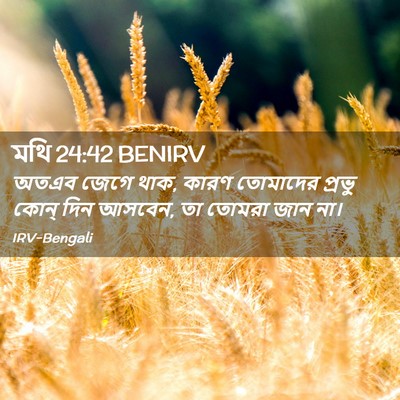 Picture 02 - মথি 24:42 BENIRV - অতএব জেগে থাক, কারণ - Bible Verse Picture