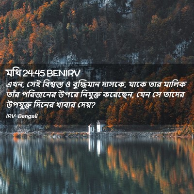 Picture 02 - মথি 24:45 BENIRV - এখন, সেই বিশ্বস্ত ও - Bible Verse Picture