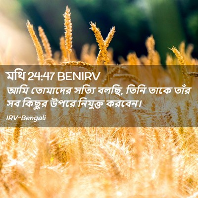 Picture 02 - মথি 24:47 BENIRV - আমি তোমাদের সত্যি - Bible Verse Picture