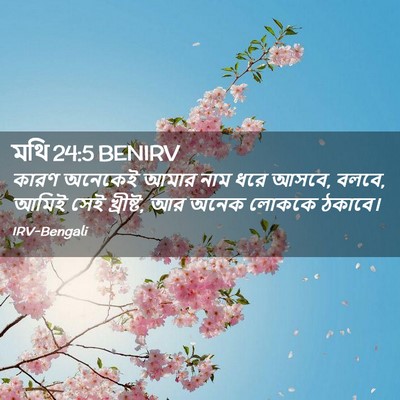 Picture 02 - মথি 24:5 BENIRV - কারণ অনেকেই আমার - Bible Verse Picture