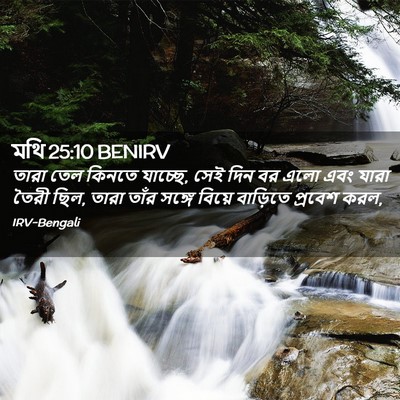 Picture 02 - মথি 25:10 BENIRV - তারা তেল কিনতে - Bible Verse Picture