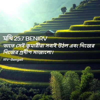 Picture 02 - মথি 25:7 BENIRV - তাতে সেই কুমারীরা - Bible Verse Picture